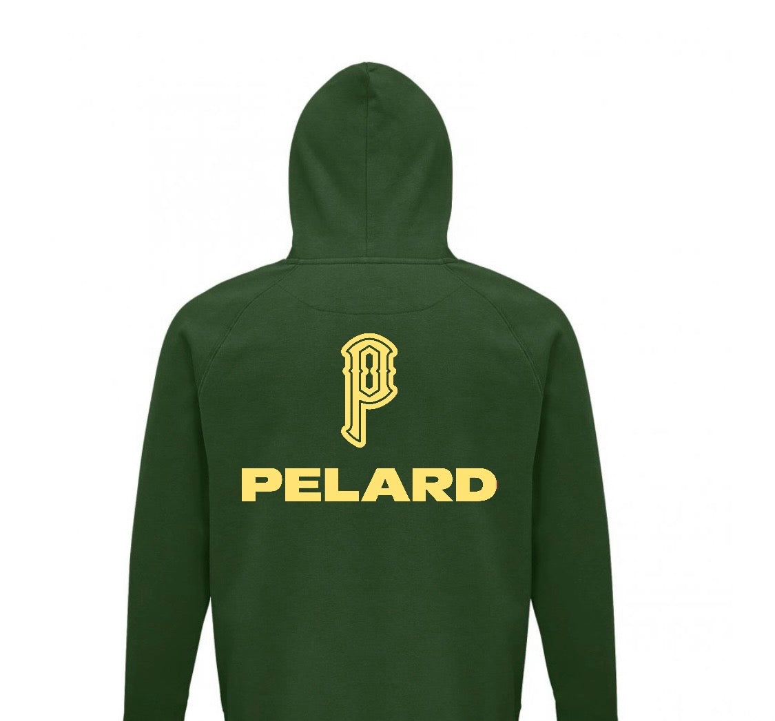 Pull à capuche pelard